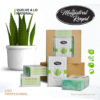 champú perro sólido aloe vera