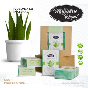 champú perro sólido aloe vera