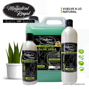 Champú Aloe Vera