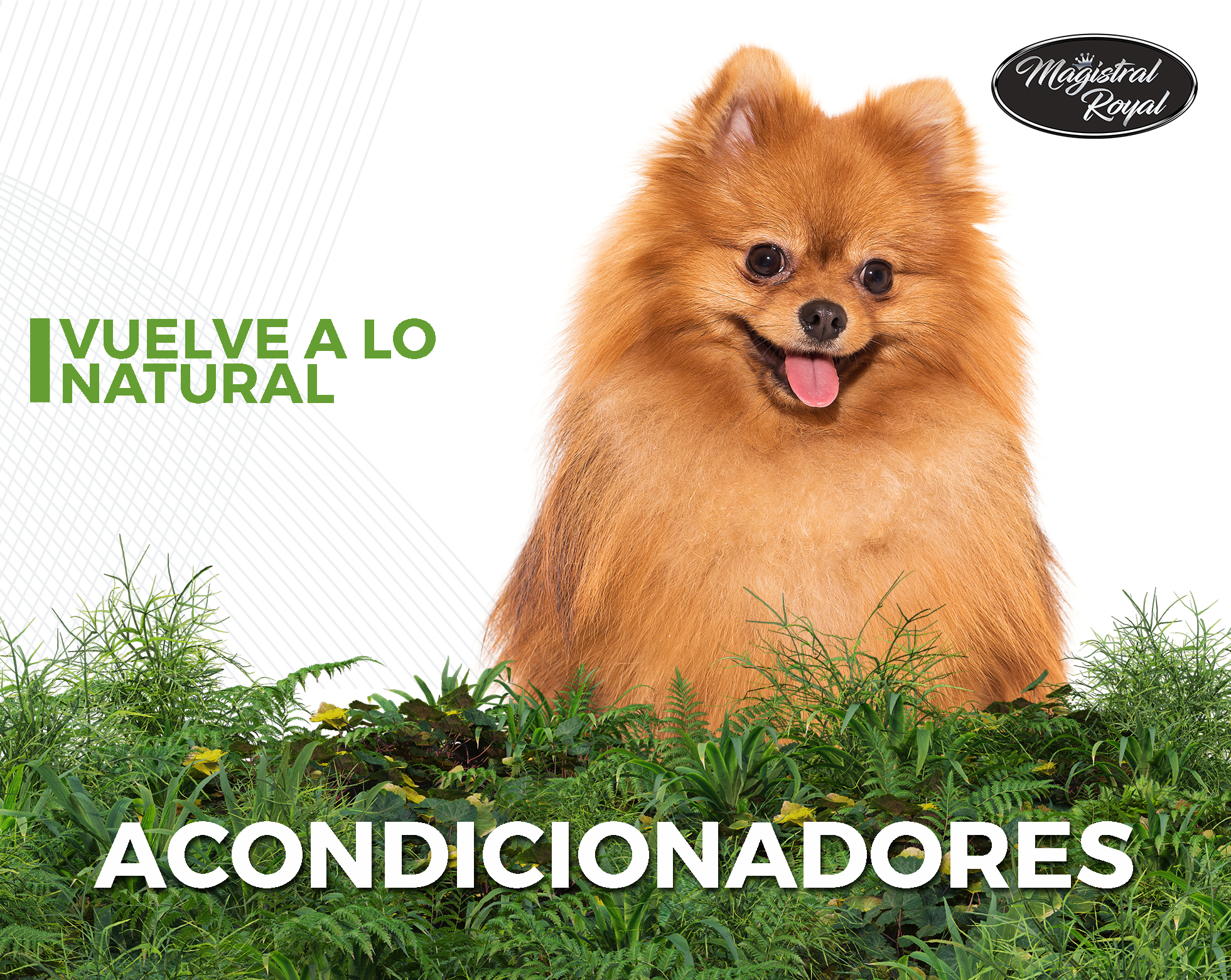 Acondicionadores para perros y gatos con ingredientes naturales fabricados en España